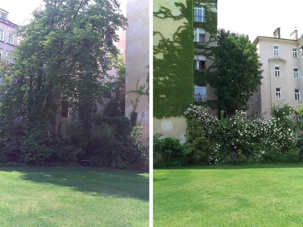 Garten Grunentorgasse Apartament